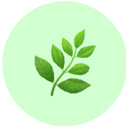 Leaf Icon